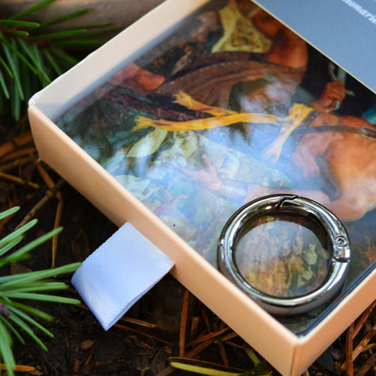 Scripture Stories from The Standard Works - Illustrated Pocket Study & Teaching Tool for Missionaries, Youth, Primary, & Sunday School