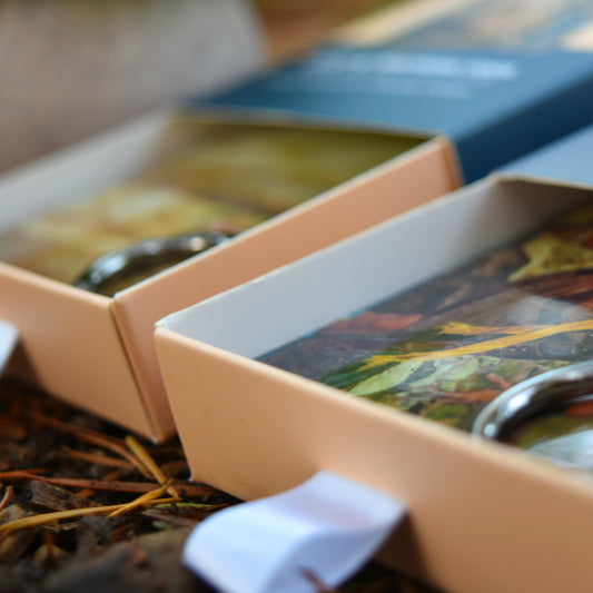 Bundle Pack - Scripture Stories from The Standard Works and Restoration of the Gospel of Jesus Christ Pocket Study & Teaching Tools