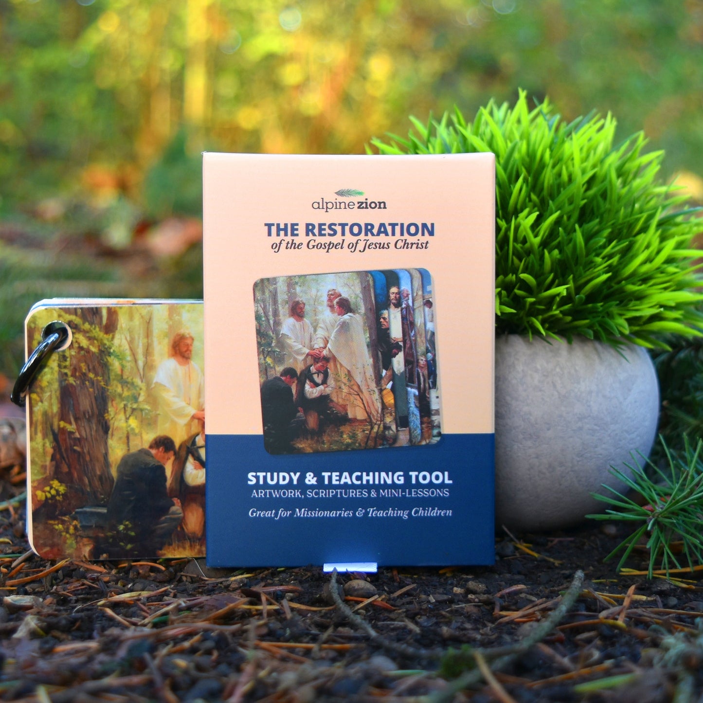 The Restoration of the Gospel of Jesus Christ - Illustrated Pocket Study & Teaching Tool for Missionaries, Youth, Primary, & Sunday School