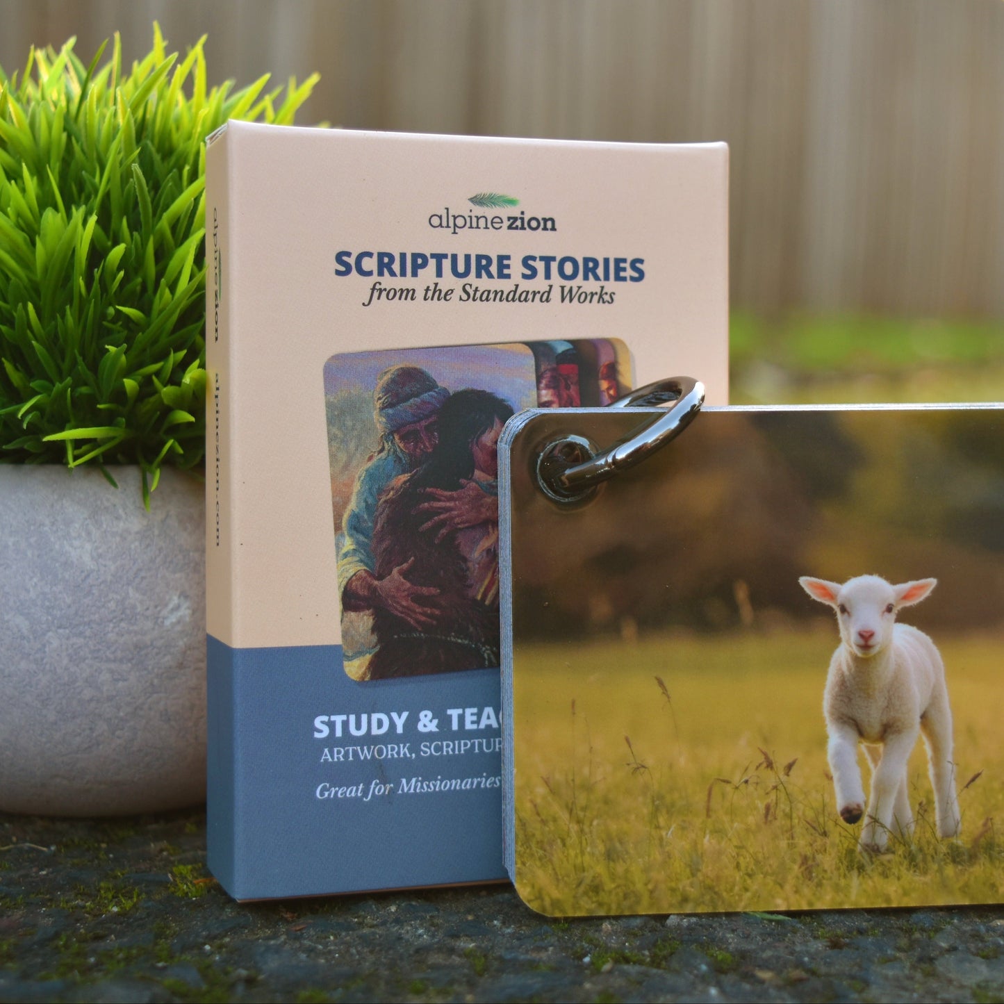 Scripture Stories from The Standard Works - Illustrated Pocket Study & Teaching Tool for Missionaries, Youth, Primary, & Sunday School