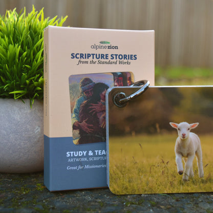 Scripture Stories from The Standard Works - Illustrated Pocket Study & Teaching Tool for Missionaries, Youth, Primary, & Sunday School