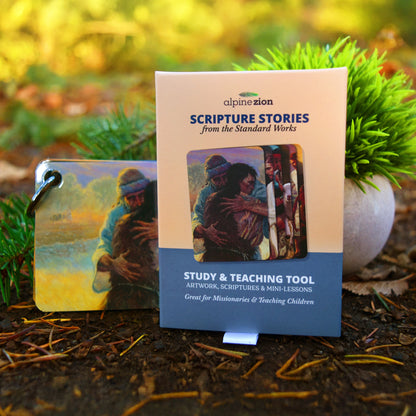 Scripture Stories from The Standard Works - Illustrated Pocket Study & Teaching Tool for Missionaries, Youth, Primary, & Sunday School