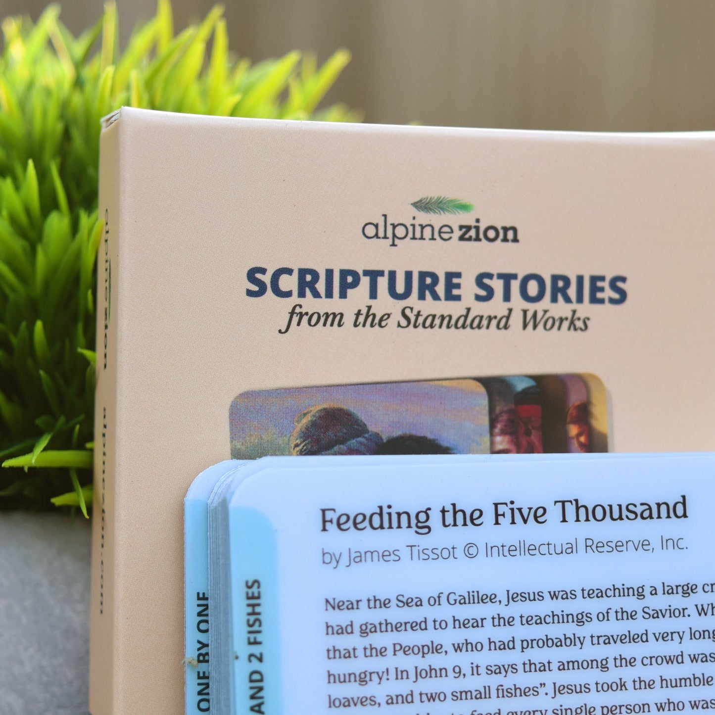 Scripture Stories from The Standard Works - Illustrated Pocket Study & Teaching Tool for Missionaries, Youth, Primary, & Sunday School